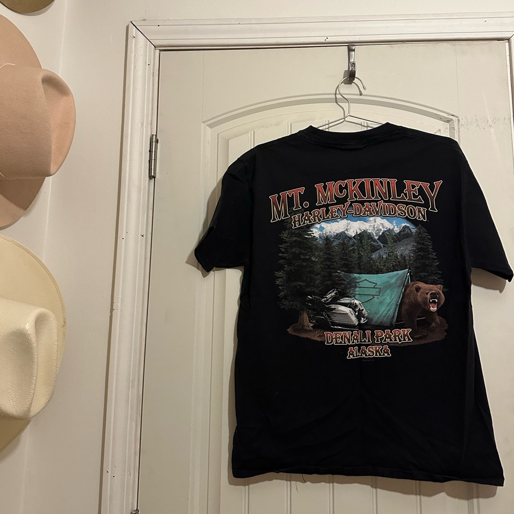 Vintage Harley Davidson Large Shirt